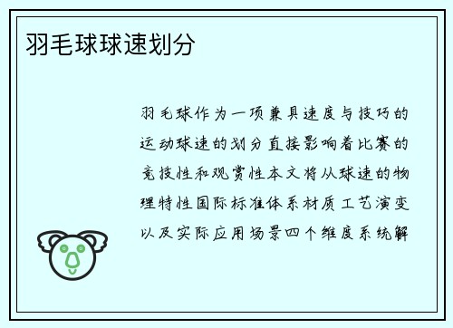羽毛球球速划分
